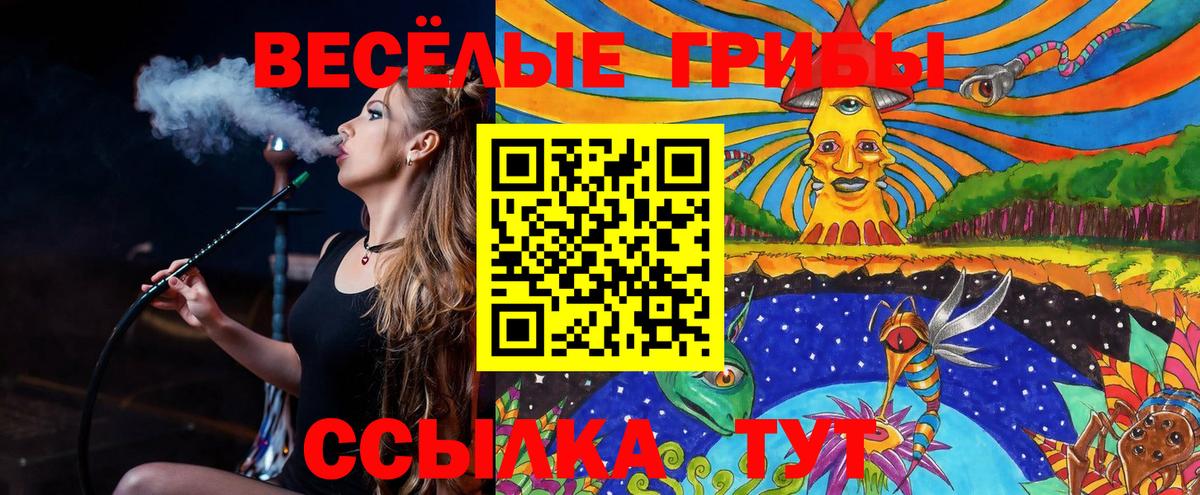 Галлюциногенные грибы Psilocybine cubensis Артёмовский