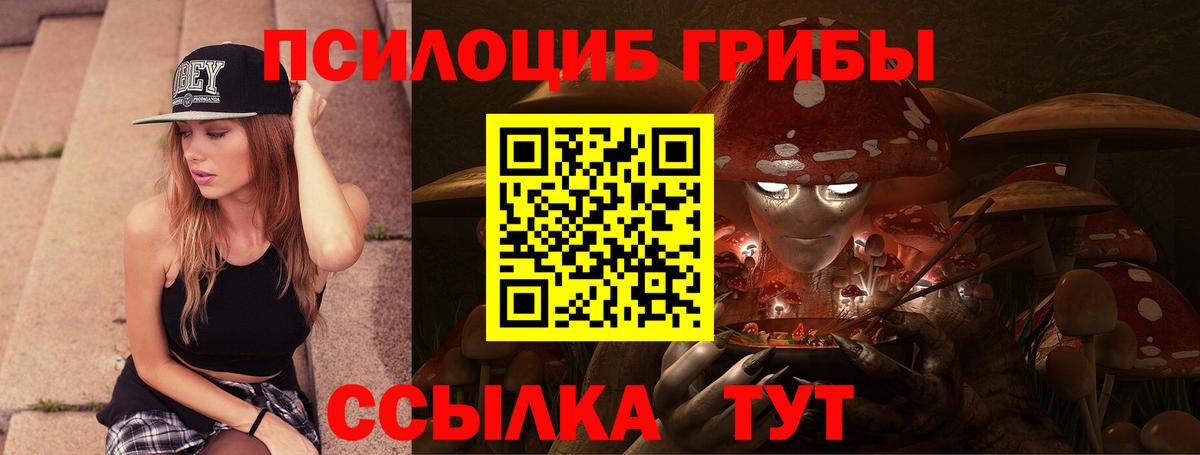 Артёмовский  Псилоцибиновые грибы прущие грибы  где можно купить   Вход с VPN 
