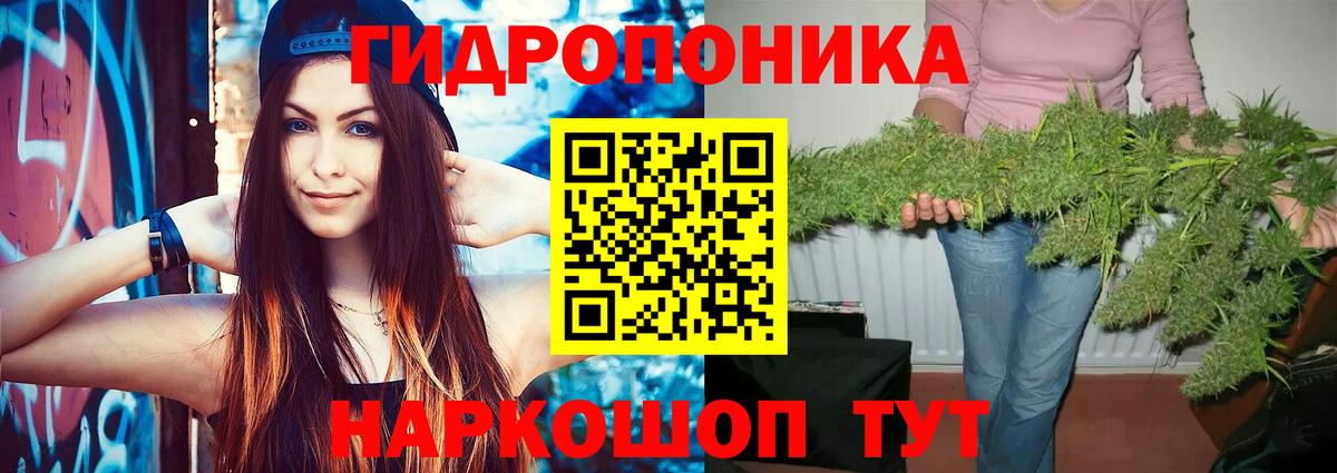 Канабис MAZAR  Бошки Шишки Bruce Banner  Канабис ГИДРОПОН  Артёмовский  Канабис план  Вход с VPN 